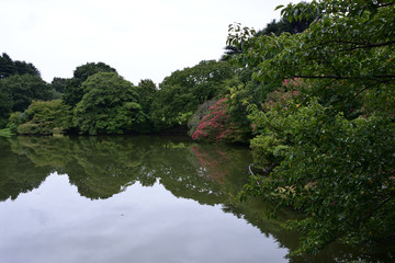 Fototapeta na wymiar Japanese old garden