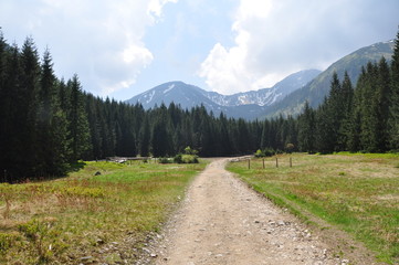 Fototapeta premium road in the mountains