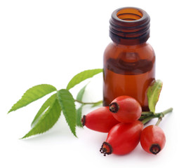 Rose hips with extracted essential oil in a bottle