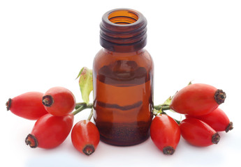 Rose hips with extracted essential oil in a bottle