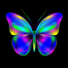 abstract butterfly 