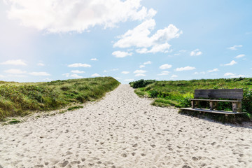 Naklejka premium footpath leading to beach in grass covered dunes under blue sky