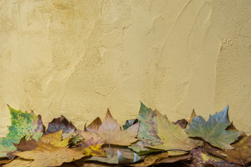 Naklejka na ściany i meble Fall leaves witf the wall as a background