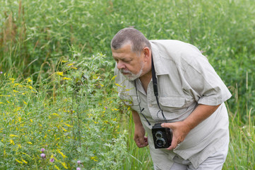 Outdoor portrait of a bearded senior man looking at wild flower before photograph it