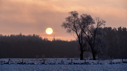 Zima na Podlasiu, Polska © podlaski49
