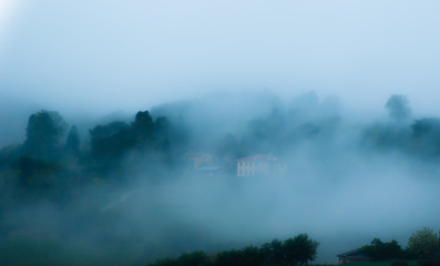 Nebbia nelle campagne marchigiane