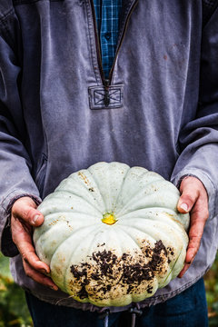 jardin potager organique naturel biologique l&eacute;gumes courges et potirons  de la terre &agrave; la cuisine