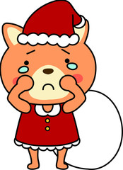 Shiba Inu's Santa Claus emotional expression