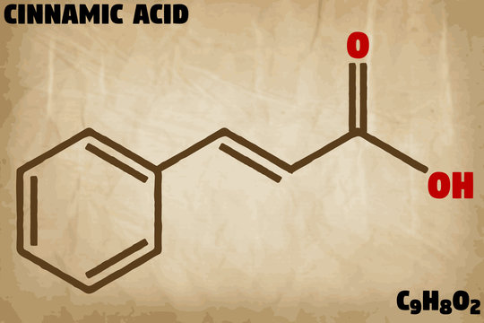 Detailed infographic illustration of the molecule of Cinnamic acid.