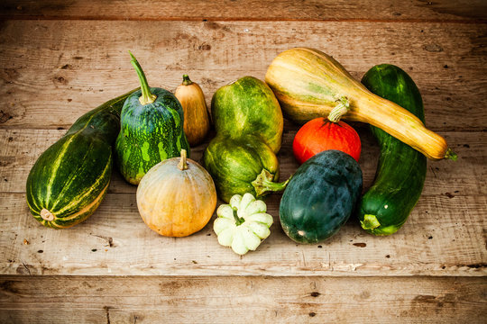 jardin potager organique naturel biologique l&eacute;gumes courges et potirons  de la terre &agrave; la cuisine