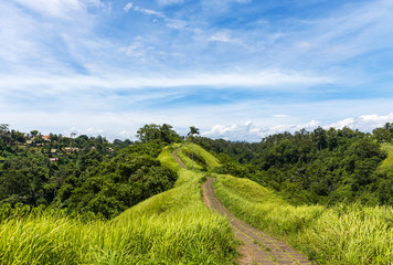 Famous Campuhan ridge walk in Ubud, Bali, Indonesia