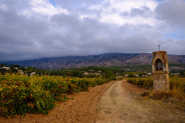 Vue panoramique sur la montagne Sainte-Victoire en automne. Les vignobles au premier plan. Provence, France.