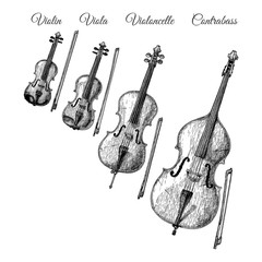 Obraz premium Bowed string instruments