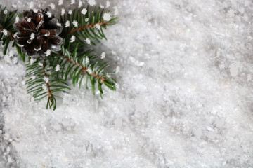 Fototapeta na wymiar zweig mit tannenzapfen im schnee