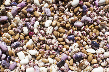 Beans