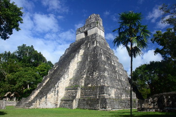 Fototapeta na wymiar Tikal - Guatemala