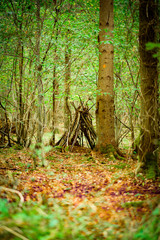 Hand made shelter, Natural Woodland