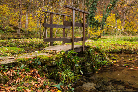 Wooden bridge across small forest creek in Nature Park Papuk, Croatia