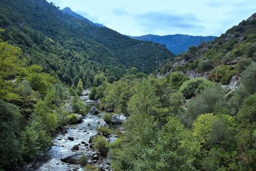 Fototapeta na wymiar Corsica-river Golo