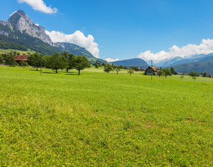 A summertime view from the village of Seewen in the Swiss canton of Schwyz.