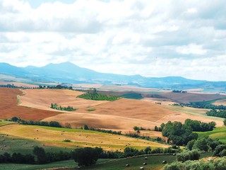 Tuscan landscape, where endless fields of different colors grow