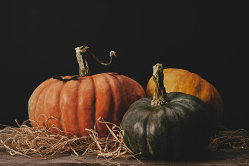 three ripe pumpkins and paper bat on table, halloween concept