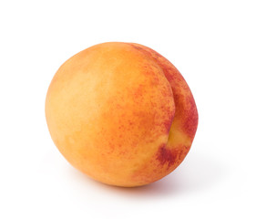 apricots