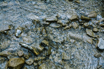 stony bottom of a mountain transparent fresh carpathian river texture background. Close up