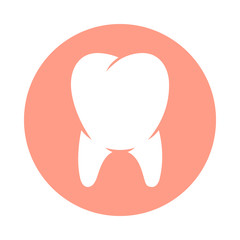 Human tooth sign. Tooth Icon in rose circle with shadow isolated on white background. Tooth symbol in a flat style. Stock vector illustration. 