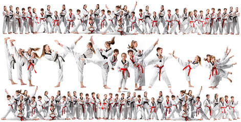The collage about group of kids training karate martial arts and posing on white backlground. The attack, sport, taekwondo, children activity concept © master1305