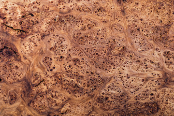 wood background