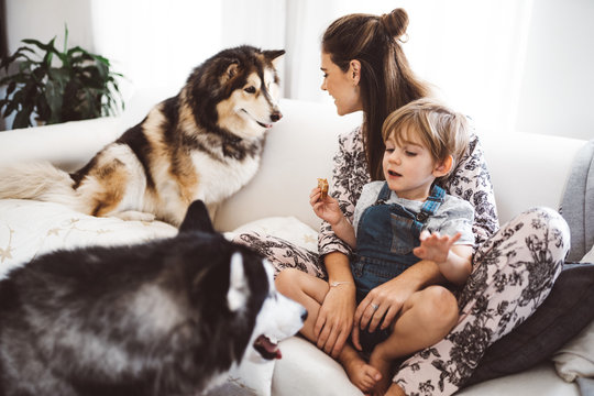 mother and son enjoying time with their husky at home