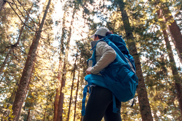 Woman Traveler Backpack Enjoying View Forest