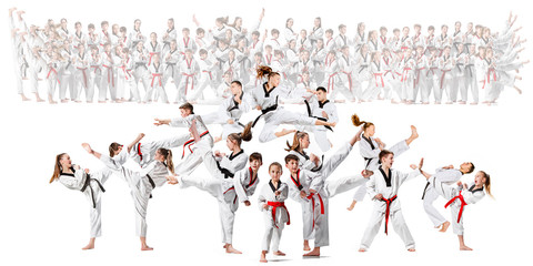The collage about group of kids training karate martial arts and posing on white backlground. The attack, sport, taekwondo, children activity concept © master1305