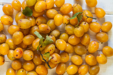 Yellow plums on a white background.
