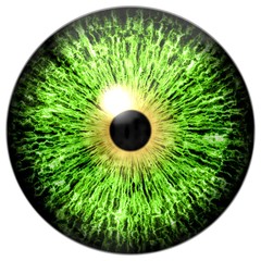 Halloween isolated on white green eye, eyeball texture with black pupil