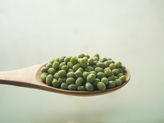 Mung Beans also known as Green Moong, Kacang Hijau, Vigna Radiata