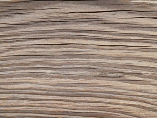 Old wood texture with natural rattern. Wooden background
