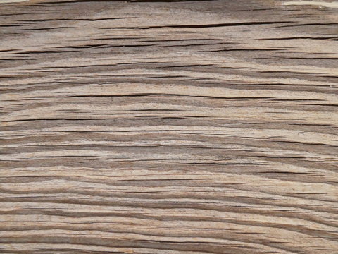 Old wood texture with natural rattern. Wooden background