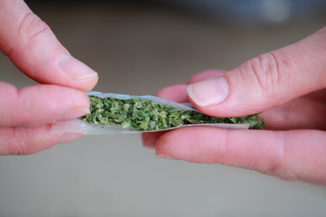 rolled a cigarette with cannabis marijuana by hands. bad habits and addiction