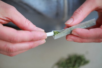 rolled a cigarette with cannabis marijuana by hands. bad habits and addiction