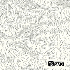 The stylized height of the topographic contour in lines and contours. The concept of a conditional geography scheme and the terrain path. Vector illustration.