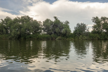 Landscape with waterline, reeds and vegetation,  water reflections, clouds, at sunset, in Danube Delta,  Romania