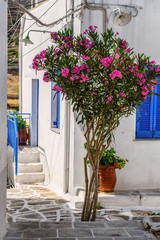 Fototapeta na wymiar Cyclades style streets and architecture in Lefkes village, Paros, Greece