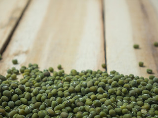 Mung Beans also known as Green Moong, Kacang Hijau, Vigna Radiata