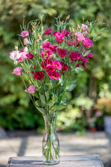 Pink flowers in the vase