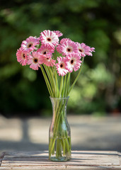 Gerberas on the vase