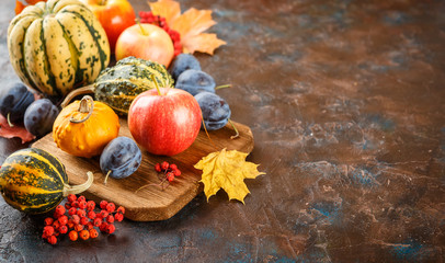 Autumn harvest stll life