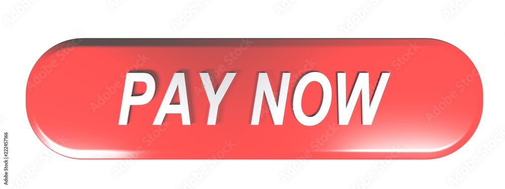 Fototapete red rounded rectangle push button pay now - 3d rendering