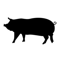 Black pig silhouette. Vector illustration for your cute design. 